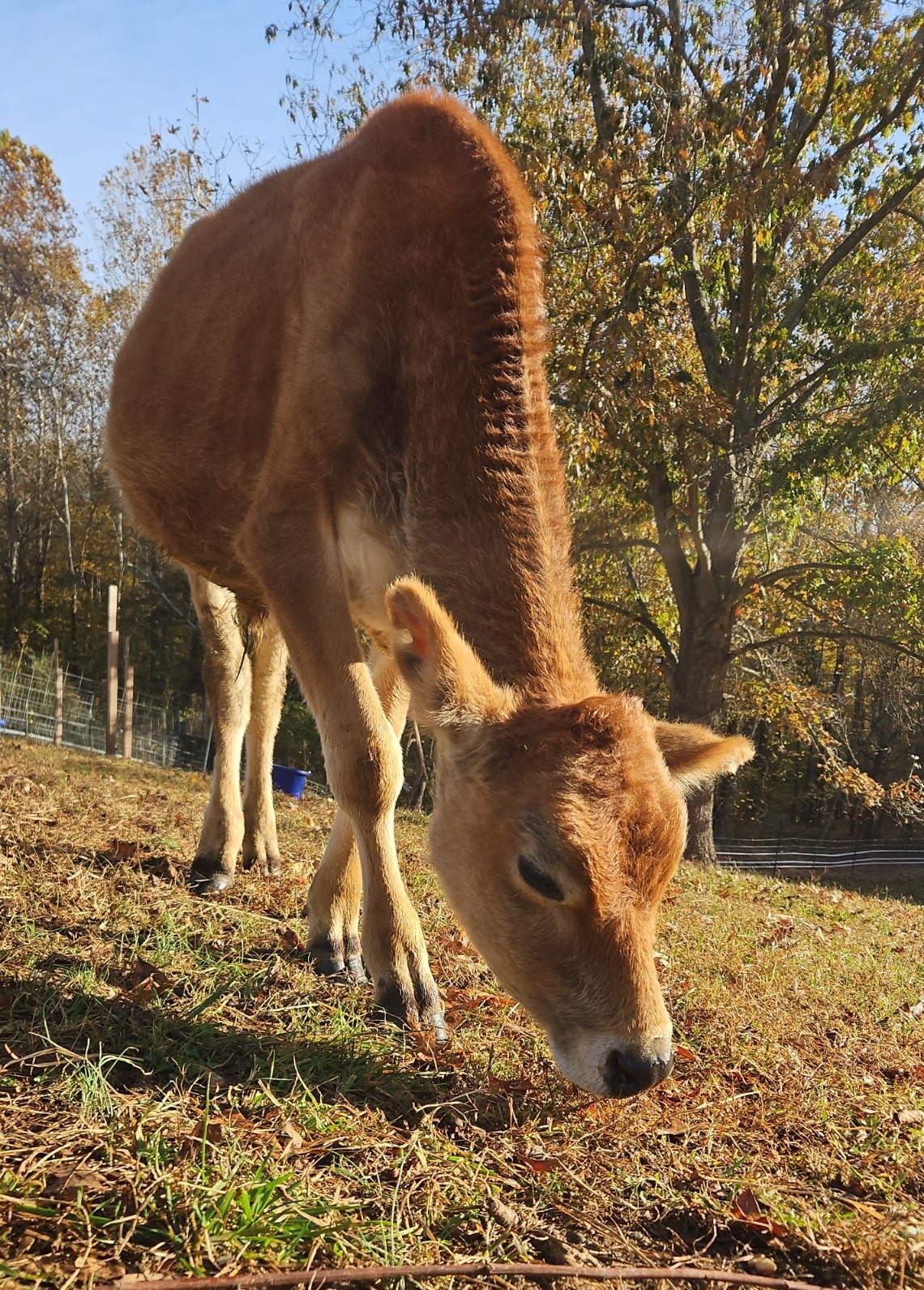 2288773662164980175 2288773662164980175